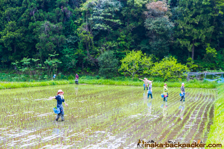 能登 穴水町 田舎時間 農業 漁師 牡蠣 水揚げ 地方 田舎 体験 noto anamizu iwaguruma rural countryside farming oyster lifestyle experiences Japan