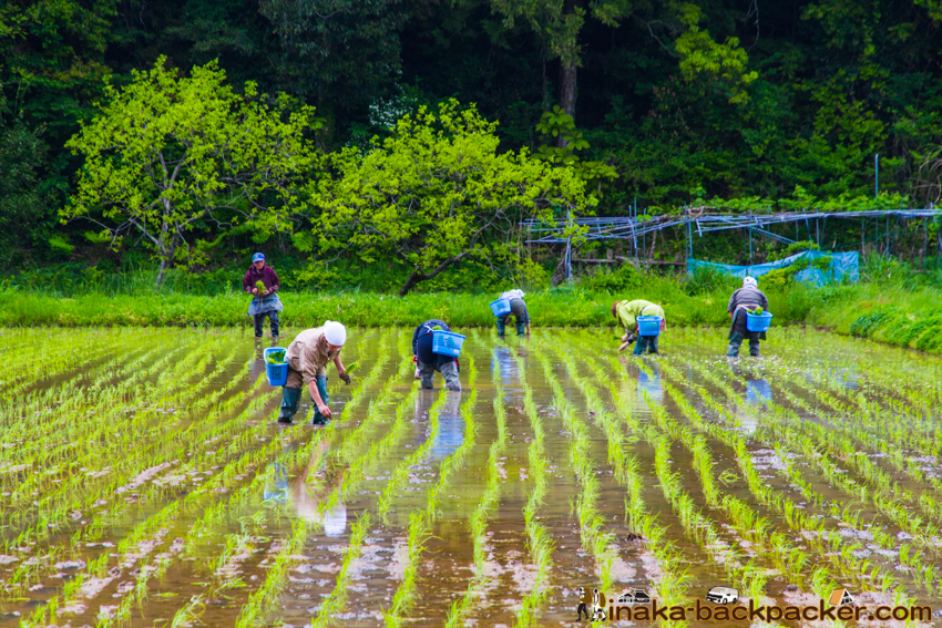 能登 穴水町 田舎時間 農業 漁師 牡蠣 水揚げ 地方 田舎 体験 noto anamizu iwaguruma rural countryside farming oyster lifestyle experiences Japan