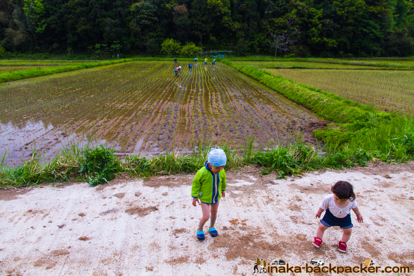 能登 穴水町 田舎時間 農業 漁師 牡蠣 水揚げ 地方 田舎 体験 noto anamizu iwaguruma rural countryside farming oyster lifestyle experiences Japan