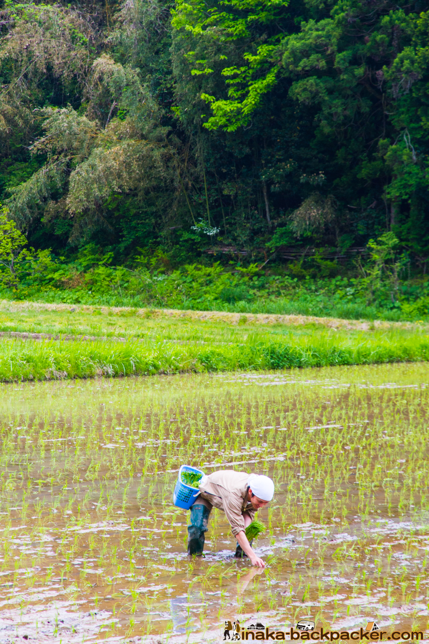 能登 穴水町 田舎時間 農業 漁師 牡蠣 水揚げ 地方 田舎 体験 noto anamizu iwaguruma rural countryside farming oyster lifestyle experiences Japan