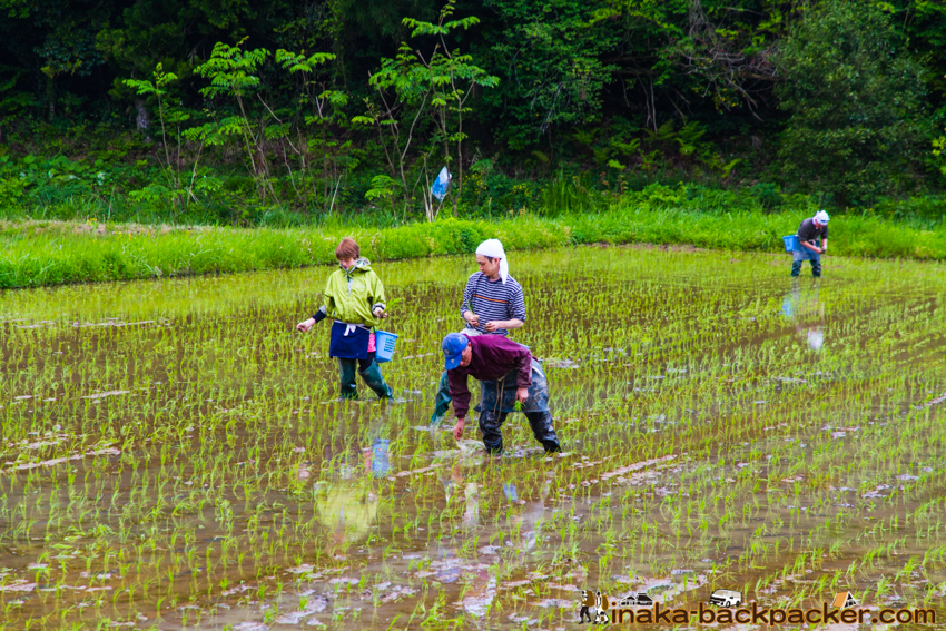 能登 穴水町 田舎時間 農業 漁師 牡蠣 水揚げ 地方 田舎 体験 noto anamizu iwaguruma rural countryside farming oyster lifestyle experiences Japan