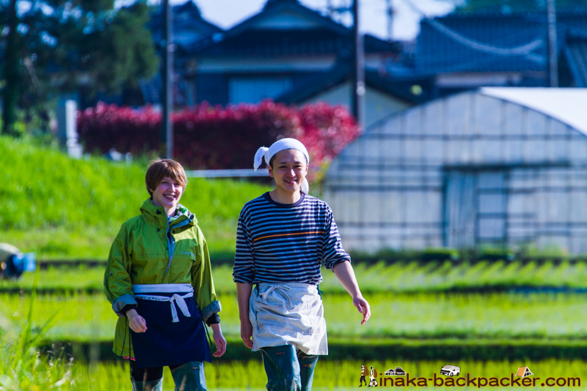 能登 穴水町 田舎時間 農業 漁師 牡蠣 水揚げ 地方 田舎 体験 noto anamizu iwaguruma rural countryside farming oyster lifestyle experiences Japan