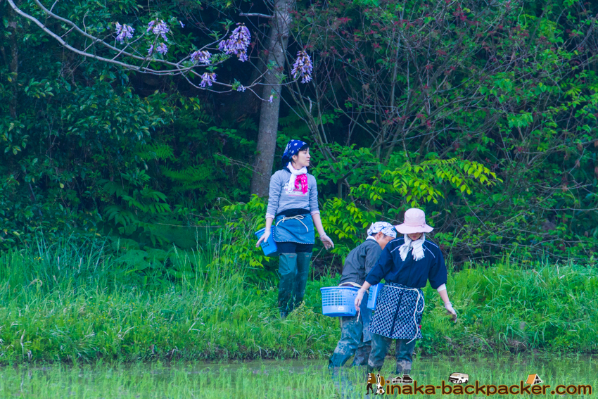 能登 穴水町 田舎時間 農業 漁師 牡蠣 水揚げ 地方 田舎 体験 noto anamizu iwaguruma rural countryside farming oyster lifestyle experiences Japan