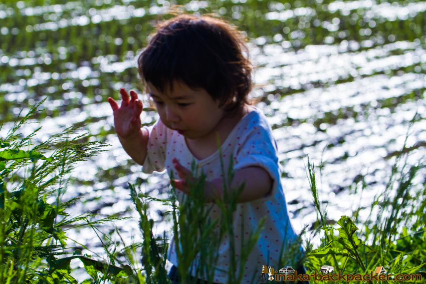 能登 穴水町 田舎時間 農業 漁師 牡蠣 水揚げ 地方 田舎 体験 noto anamizu iwaguruma rural countryside farming oyster lifestyle experiences Japan