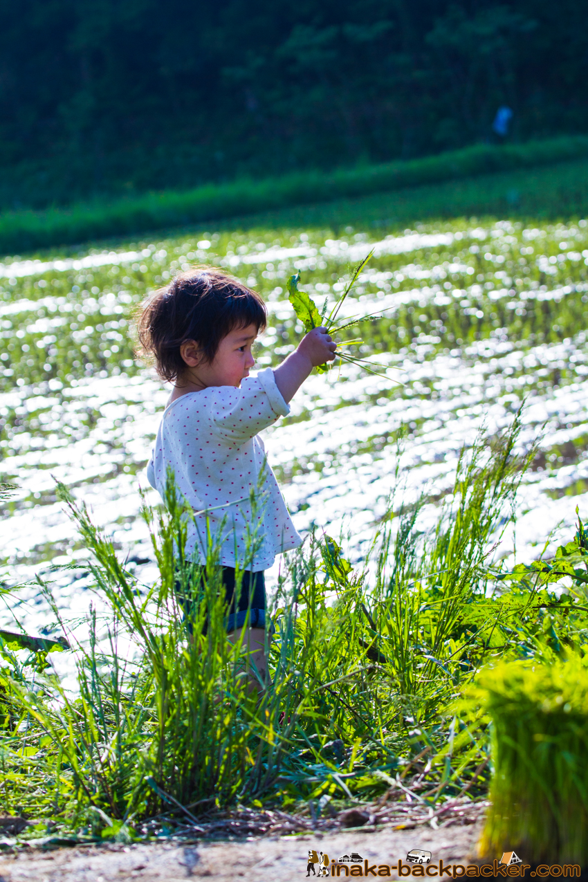 能登 穴水町 田舎時間 農業 漁師 牡蠣 水揚げ 地方 田舎 体験 noto anamizu iwaguruma rural countryside farming oyster lifestyle experiences Japan