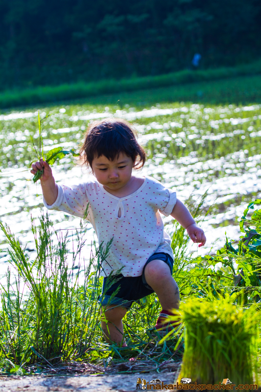 能登 穴水町 田舎時間 農業 漁師 牡蠣 水揚げ 地方 田舎 体験 noto anamizu iwaguruma rural countryside farming oyster lifestyle experiences Japan