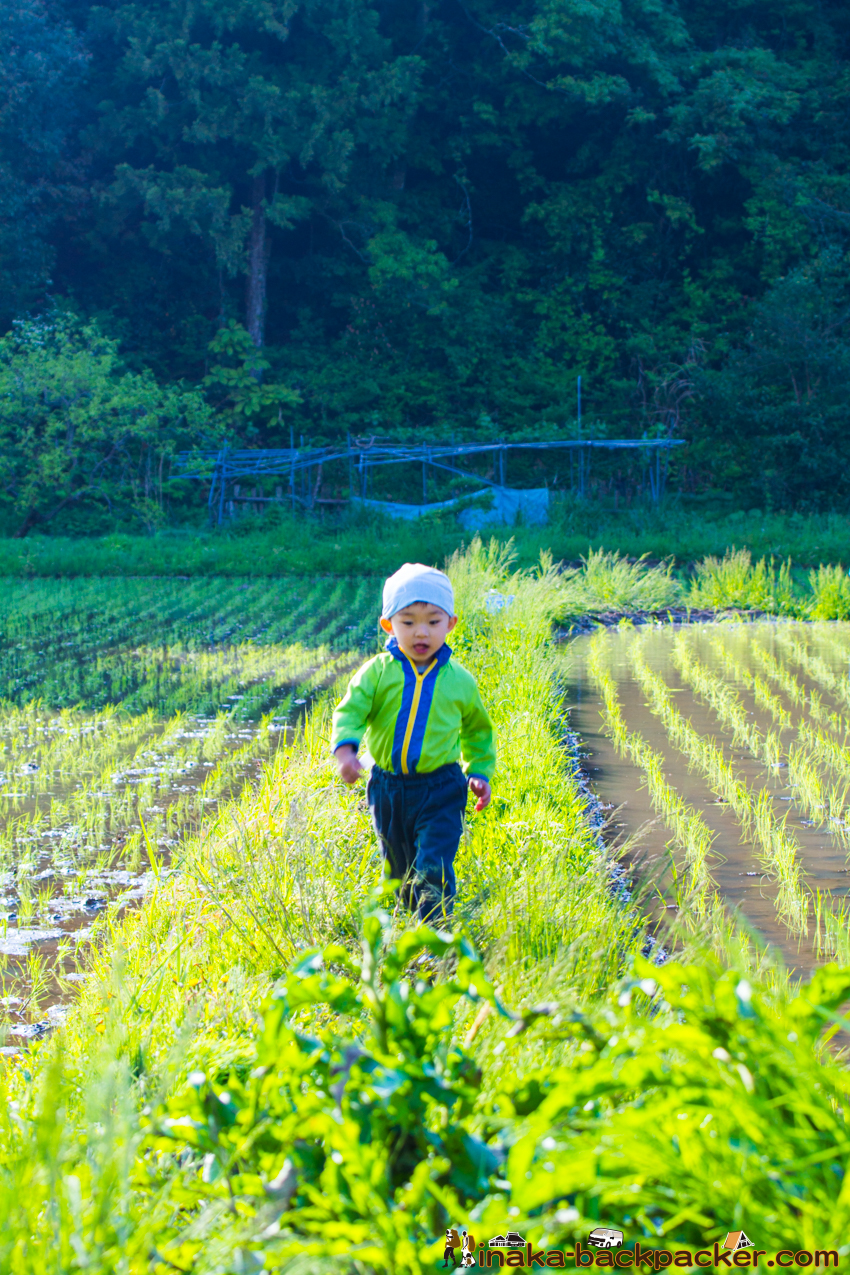 能登 穴水町 田舎時間 農業 漁師 牡蠣 水揚げ 地方 田舎 体験 noto anamizu iwaguruma rural countryside farming oyster lifestyle experiences Japan