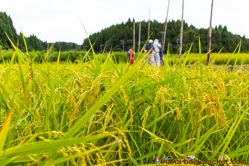 能登 穴水町 田舎時間 農業 漁師 牡蠣 水揚げ 地方 田舎 体験 noto anamizu iwaguruma rural countryside farming oyster lifestyle experiences Japan