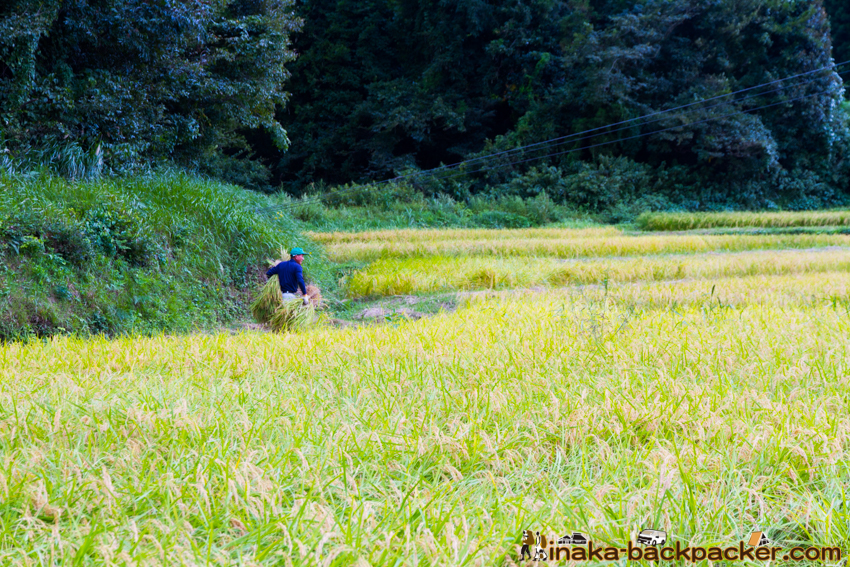 能登 穴水町 田舎時間 農業 漁師 牡蠣 水揚げ 地方 田舎 体験 noto anamizu iwaguruma rural countryside farming oyster lifestyle experiences Japan