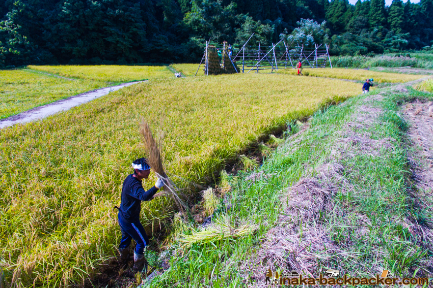 能登 穴水町 田舎時間 農業 漁師 牡蠣 水揚げ 地方 田舎 体験 noto anamizu iwaguruma rural countryside farming oyster lifestyle experiences Japan
