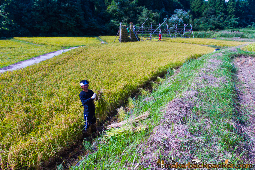 能登 穴水町 田舎時間 農業 漁師 牡蠣 水揚げ 地方 田舎 体験 noto anamizu iwaguruma rural countryside farming oyster lifestyle experiences Japan