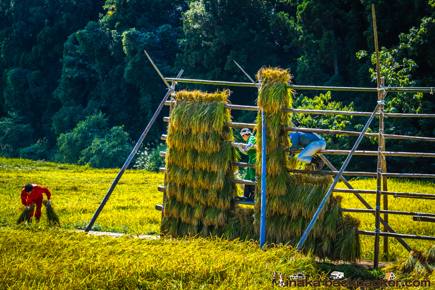 能登 穴水町 田舎時間 農業 漁師 牡蠣 水揚げ 地方 田舎 体験 noto anamizu iwaguruma rural countryside farming oyster lifestyle experiences Japan