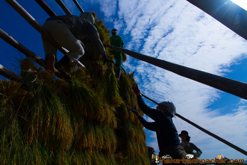 能登 穴水町 田舎時間 農業 漁師 牡蠣 水揚げ 地方 田舎 体験 noto anamizu iwaguruma rural countryside farming oyster lifestyle experiences Japan
