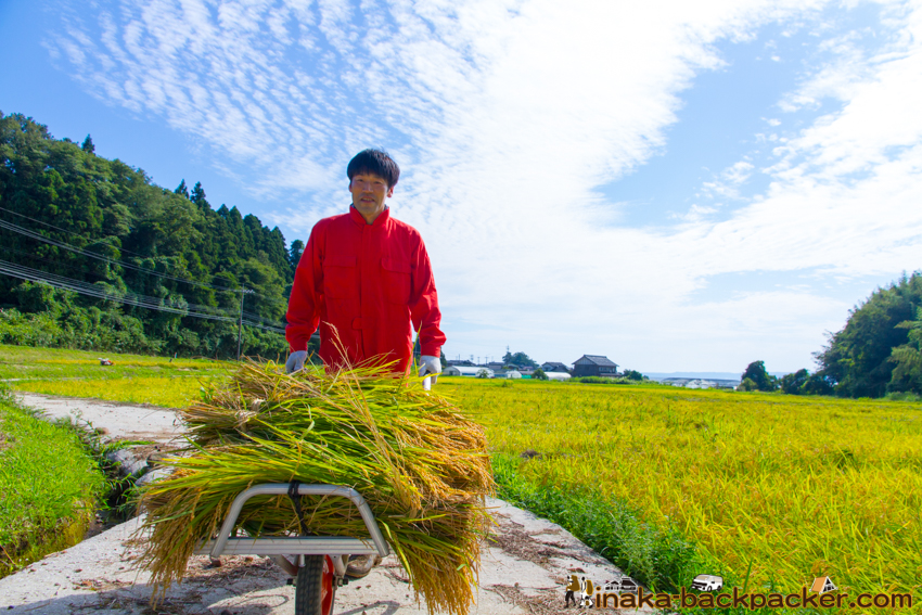 田舎時間 田植え作業