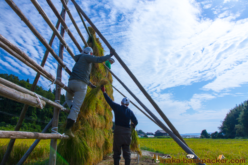 能登 穴水町 田舎時間 農業 漁師 牡蠣 水揚げ 地方 田舎 体験 noto anamizu iwaguruma rural countryside farming oyster lifestyle experiences Japan