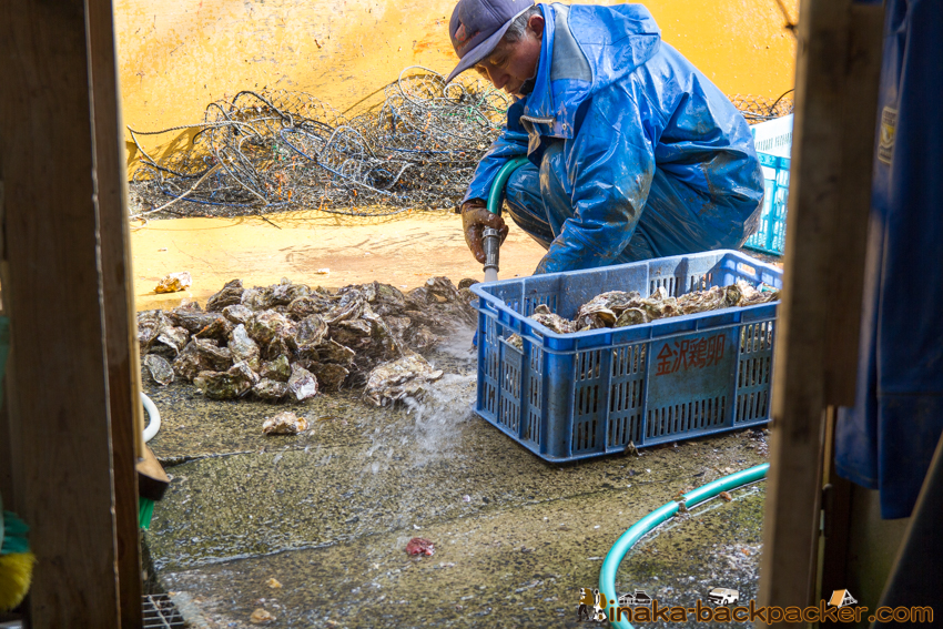 能登 穴水町 田舎時間 農業 漁師 牡蠣 水揚げ 地方 田舎 体験 noto anamizu iwaguruma rural countryside farming oyster lifestyle experiences Japan