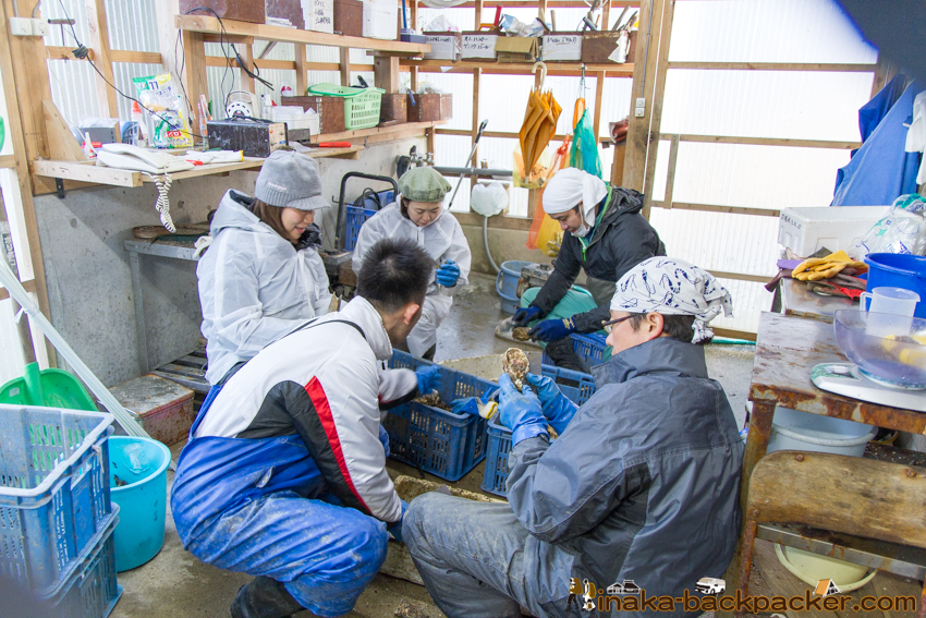 能登 穴水町 田舎時間 農業 漁師 牡蠣 水揚げ 地方 田舎 体験 noto anamizu iwaguruma rural countryside farming oyster lifestyle experiences Japan