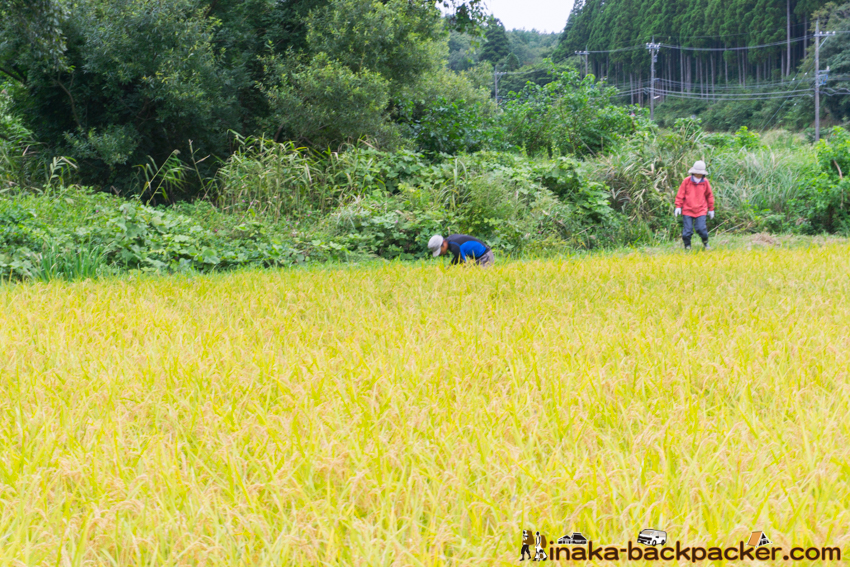 能登 穴水町 田舎時間 農業 漁師 牡蠣 水揚げ 地方 田舎 体験 noto anamizu iwaguruma rural countryside farming oyster lifestyle experiences Japan