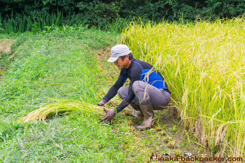 能登 穴水町 田舎時間 農業 漁師 牡蠣 水揚げ 地方 田舎 体験 noto anamizu iwaguruma rural countryside farming oyster lifestyle experiences Japan
