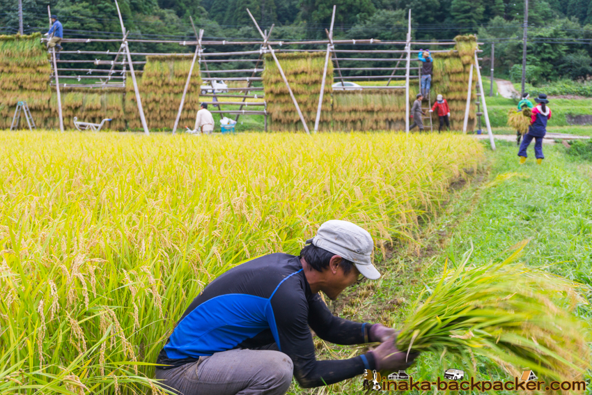 能登 穴水町 田舎時間 農業 漁師 牡蠣 水揚げ 地方 田舎 体験 noto anamizu iwaguruma rural countryside farming oyster lifestyle experiences Japan