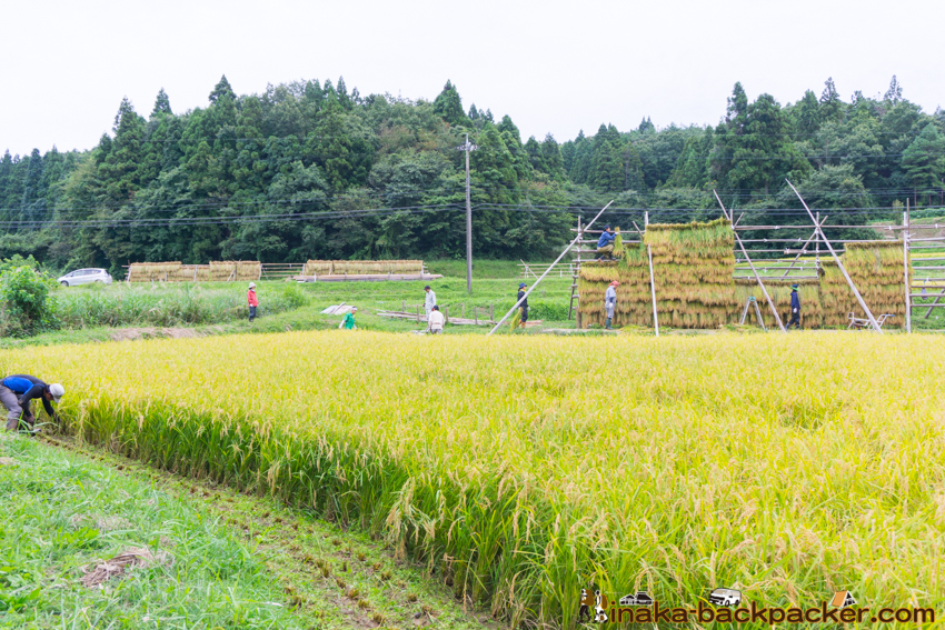 能登 穴水町 田舎時間 農業 漁師 牡蠣 水揚げ 地方 田舎 体験 noto anamizu iwaguruma rural countryside farming oyster lifestyle experiences Japan
