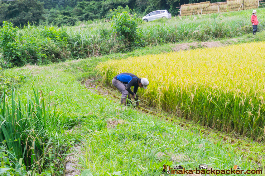 能登 穴水町 田舎時間 農業 漁師 牡蠣 水揚げ 地方 田舎 体験 noto anamizu iwaguruma rural countryside farming oyster lifestyle experiences Japan