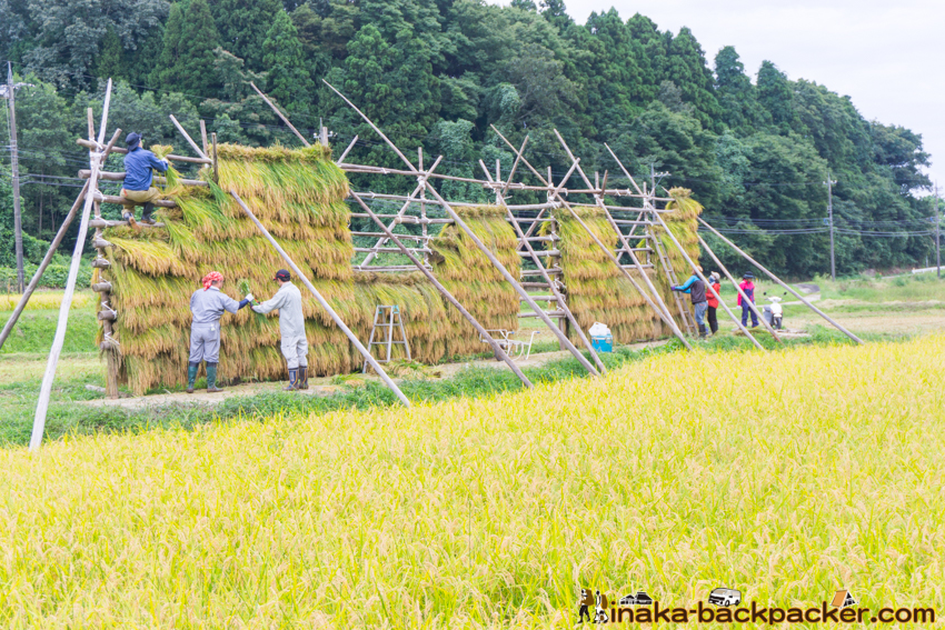 能登 穴水町 田舎時間 農業 漁師 牡蠣 水揚げ 地方 田舎 体験 noto anamizu iwaguruma rural countryside farming oyster lifestyle experiences Japan