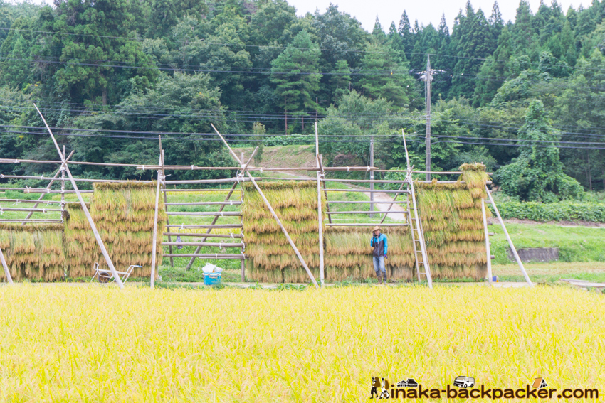 能登 穴水町 田舎時間 農業 漁師 牡蠣 水揚げ 地方 田舎 体験 noto anamizu iwaguruma rural countryside farming oyster lifestyle experiences Japan