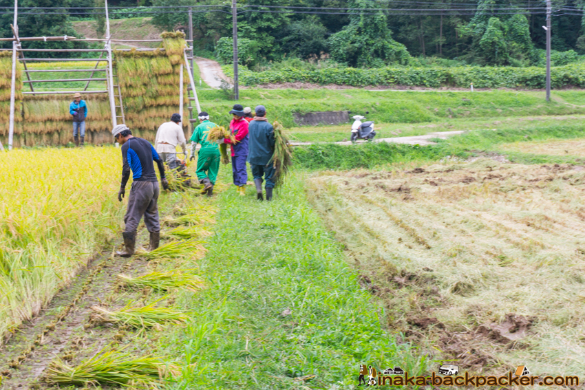 能登 穴水町 田舎時間 農業 漁師 牡蠣 水揚げ 地方 田舎 体験 noto anamizu iwaguruma rural countryside farming oyster lifestyle experiences Japan