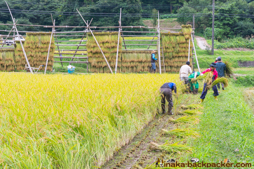 能登 穴水町 田舎時間 農業 漁師 牡蠣 水揚げ 地方 田舎 体験 noto anamizu iwaguruma rural countryside farming oyster lifestyle experiences Japan