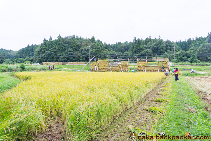 能登 穴水町 田舎時間 農業 漁師 牡蠣 水揚げ 地方 田舎 体験 noto anamizu iwaguruma rural countryside farming oyster lifestyle experiences Japan