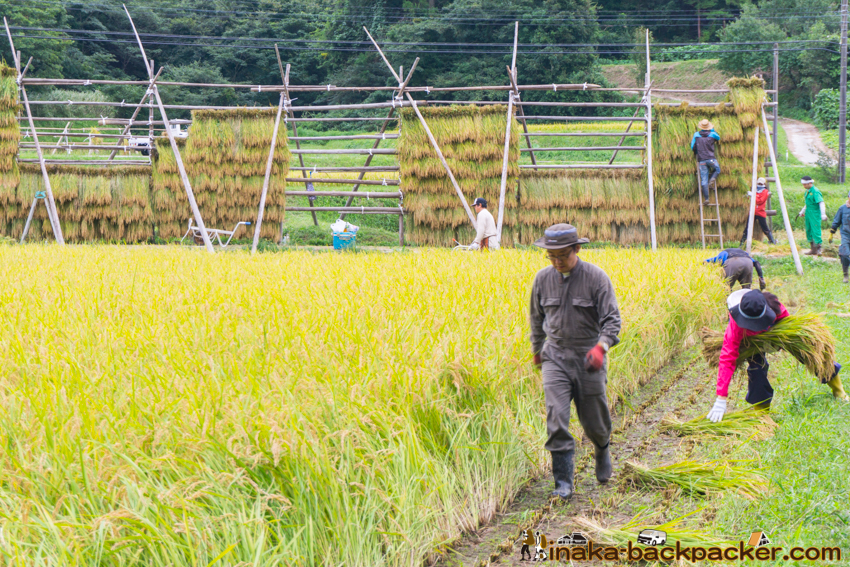 能登 穴水町 田舎時間 農業 漁師 牡蠣 水揚げ 地方 田舎 体験 noto anamizu iwaguruma rural countryside farming oyster lifestyle experiences Japan