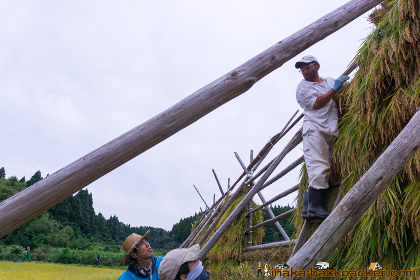 能登 穴水町 田舎時間 農業 漁師 牡蠣 水揚げ 地方 田舎 体験 noto anamizu iwaguruma rural countryside farming oyster lifestyle experiences Japan