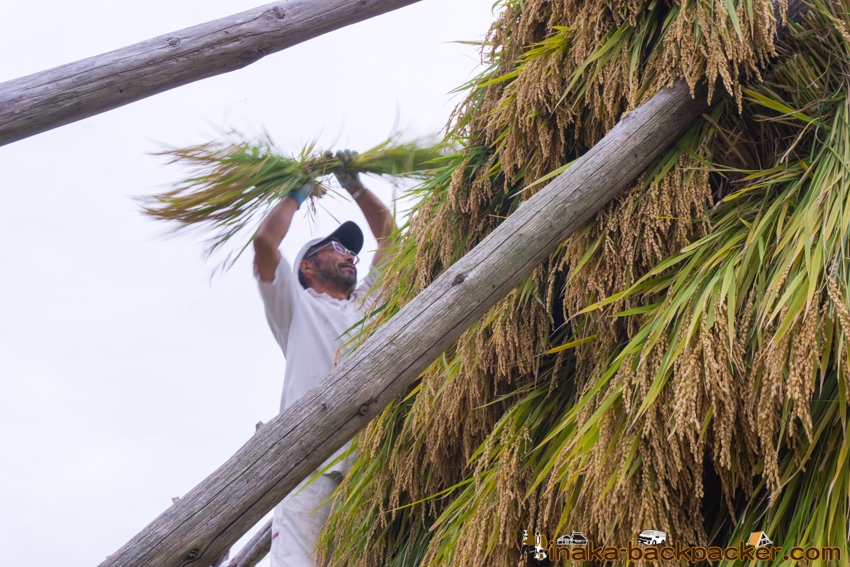 能登 穴水町 田舎時間 農業 漁師 牡蠣 水揚げ 地方 田舎 体験 noto anamizu iwaguruma rural countryside farming oyster lifestyle experiences Japan