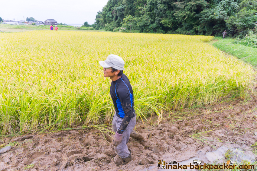 能登 穴水町 田舎時間 農業 漁師 牡蠣 水揚げ 地方 田舎 体験 noto anamizu iwaguruma rural countryside farming oyster lifestyle experiences Japan