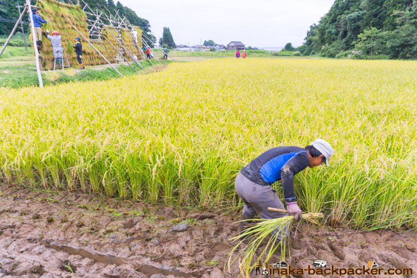 能登 穴水町 田舎時間 農業 漁師 牡蠣 水揚げ 地方 田舎 体験 noto anamizu iwaguruma rural countryside farming oyster lifestyle experiences Japan