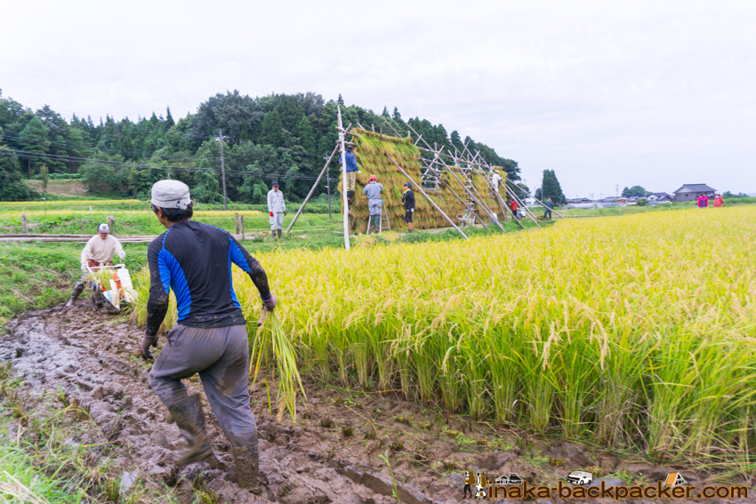 能登 穴水町 田舎時間 農業 漁師 牡蠣 水揚げ 地方 田舎 体験 noto anamizu iwaguruma rural countryside farming oyster lifestyle experiences Japan
