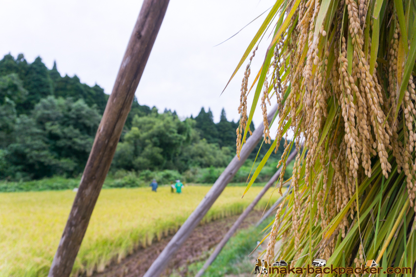 能登 穴水町 田舎時間 農業 漁師 牡蠣 水揚げ 地方 田舎 体験 noto anamizu iwaguruma rural countryside farming oyster lifestyle experiences Japan