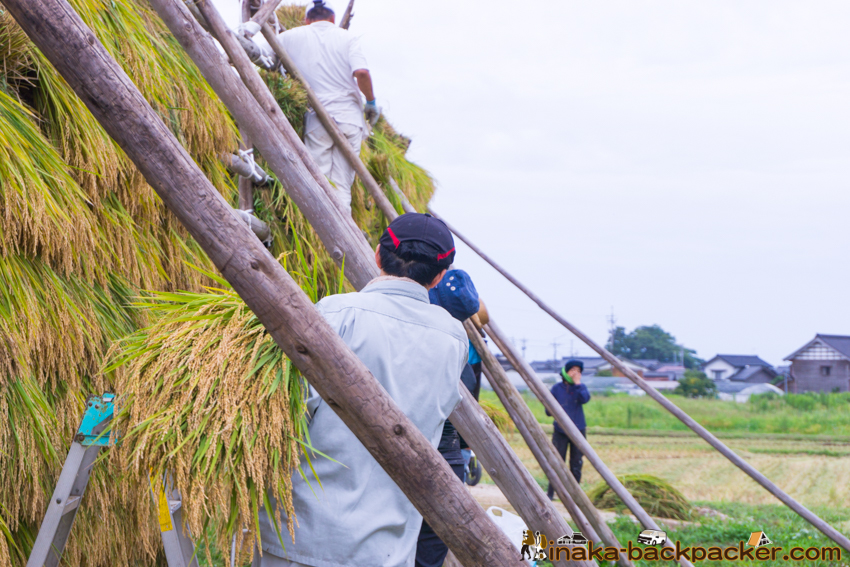 能登 穴水町 田舎時間 農業 漁師 牡蠣 水揚げ 地方 田舎 体験 noto anamizu iwaguruma rural countryside farming oyster lifestyle experiences Japan