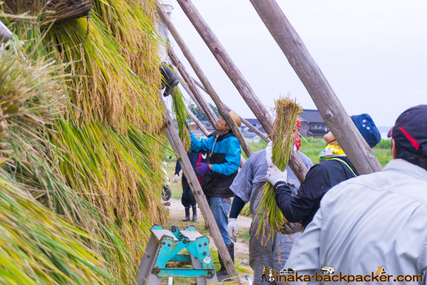能登 穴水町 田舎時間 農業 漁師 牡蠣 水揚げ 地方 田舎 体験 noto anamizu iwaguruma rural countryside farming oyster lifestyle experiences Japan