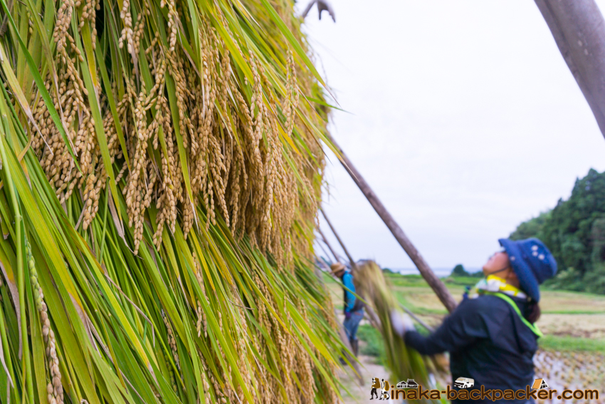 能登 穴水町 田舎時間 農業 漁師 牡蠣 水揚げ 地方 田舎 体験 noto anamizu iwaguruma rural countryside farming oyster lifestyle experiences Japan