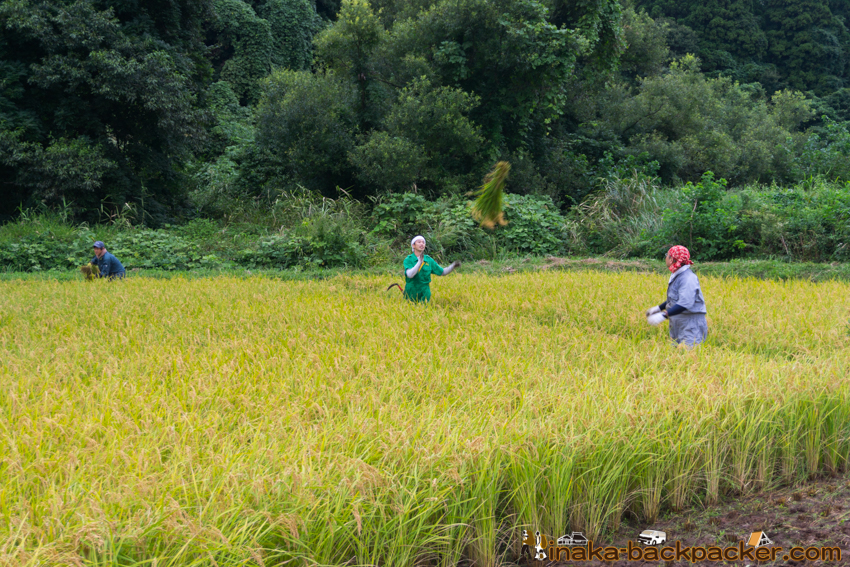 能登 穴水町 田舎時間 農業 漁師 牡蠣 水揚げ 地方 田舎 体験 noto anamizu iwaguruma rural countryside farming oyster lifestyle experiences Japan