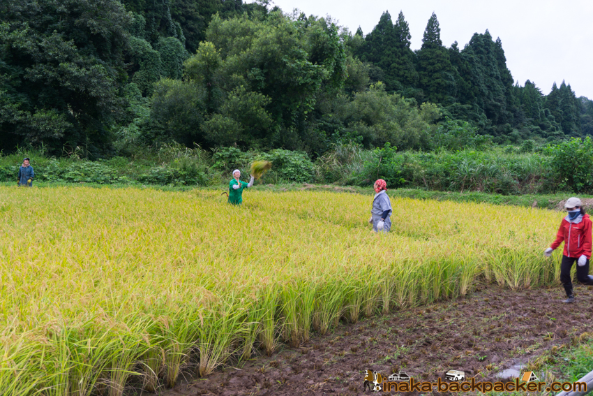 能登 穴水町 田舎時間 農業 漁師 牡蠣 水揚げ 地方 田舎 体験 noto anamizu iwaguruma rural countryside farming oyster lifestyle experiences Japan