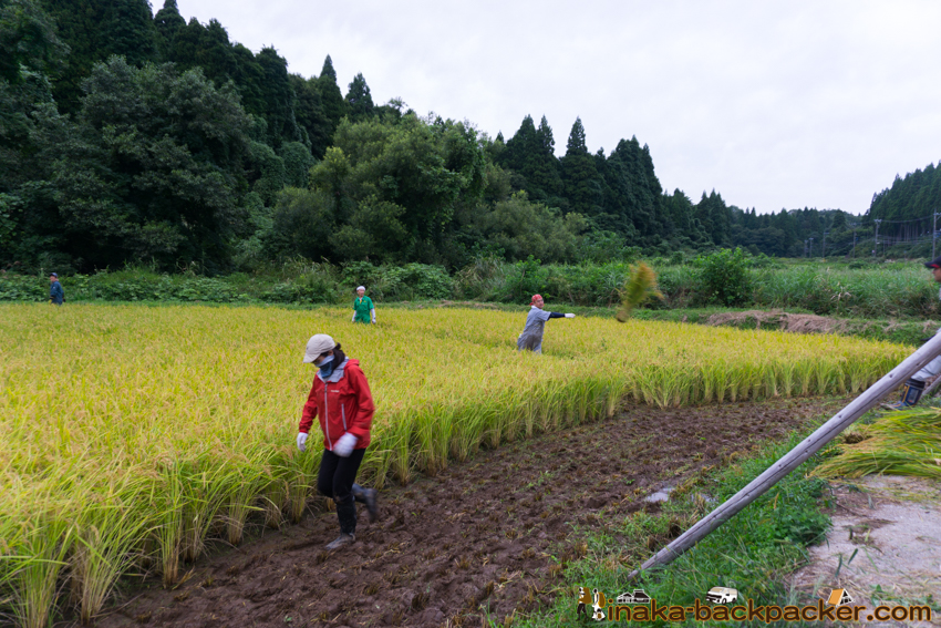 能登 穴水町 田舎時間 農業 漁師 牡蠣 水揚げ 地方 田舎 体験 noto anamizu iwaguruma rural countryside farming oyster lifestyle experiences Japan