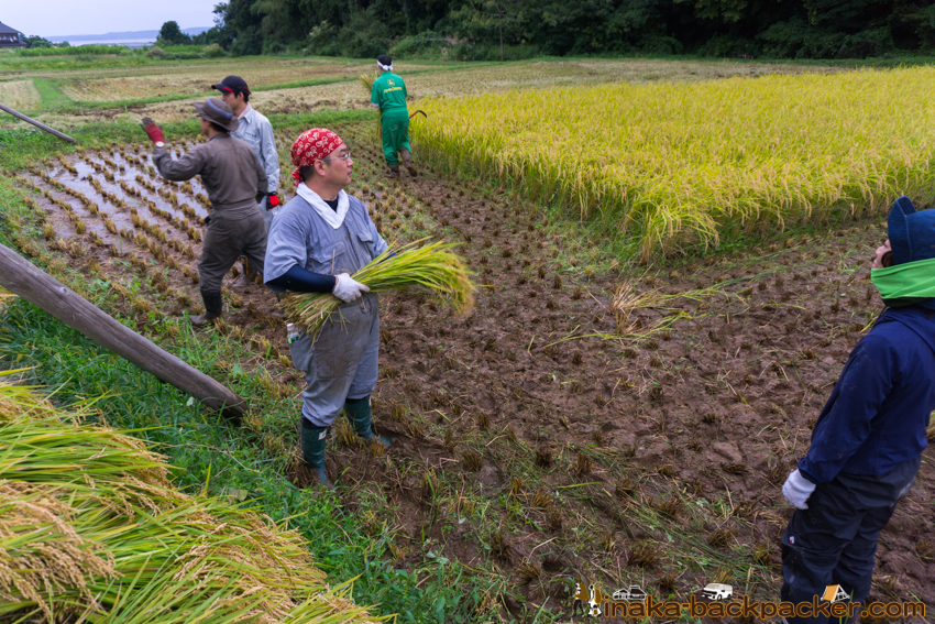 能登 穴水町 田舎時間 農業 漁師 牡蠣 水揚げ 地方 田舎 体験 noto anamizu iwaguruma rural countryside farming oyster lifestyle experiences Japan