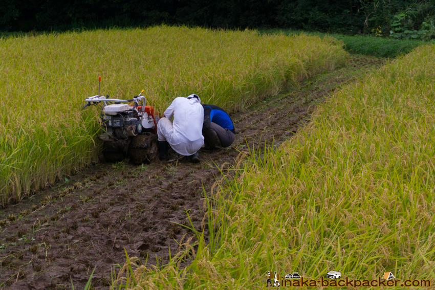 能登 穴水町 田舎時間 農業 漁師 牡蠣 水揚げ 地方 田舎 体験 noto anamizu iwaguruma rural countryside farming oyster lifestyle experiences Japan