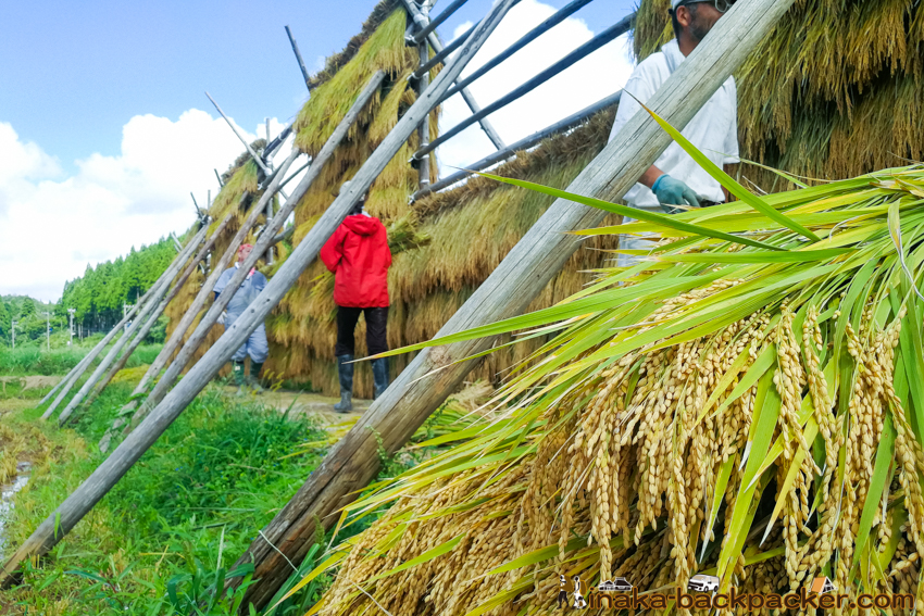 能登 穴水町 田舎時間 農業 漁師 牡蠣 水揚げ 地方 田舎 体験 noto anamizu iwaguruma rural countryside farming oyster lifestyle experiences Japan