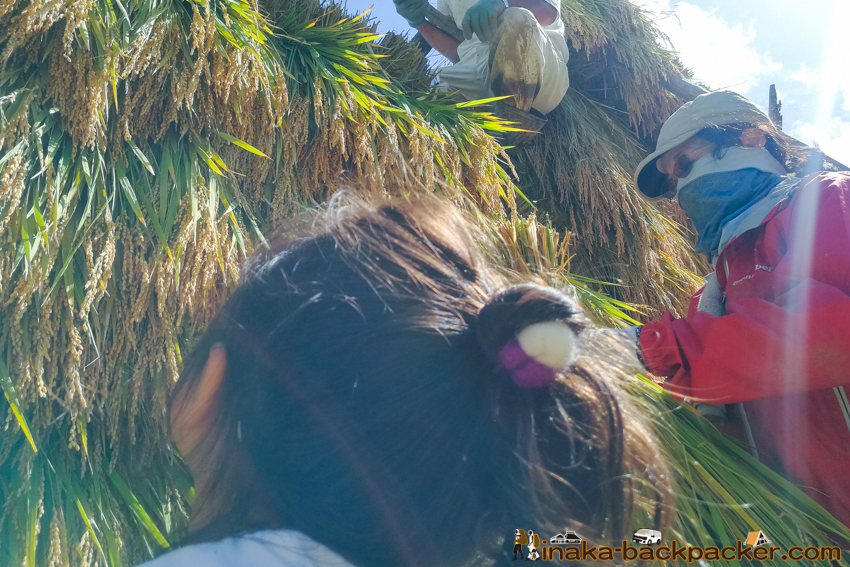 能登 穴水町 田舎時間 農業 漁師 牡蠣 水揚げ 地方 田舎 体験 noto anamizu iwaguruma rural countryside farming oyster lifestyle experiences Japan