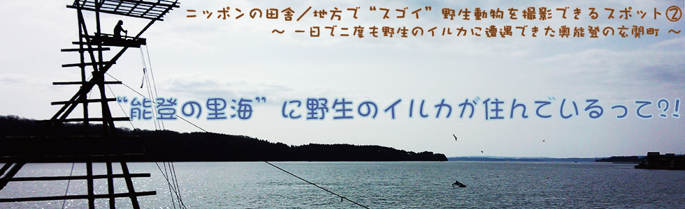 田舎バックパッカーの田舎旅とライフスタイル