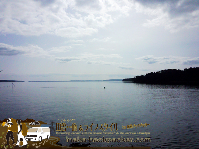 「潮騒の道」の湾に現れたイルカ